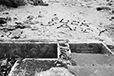 After Sandy II